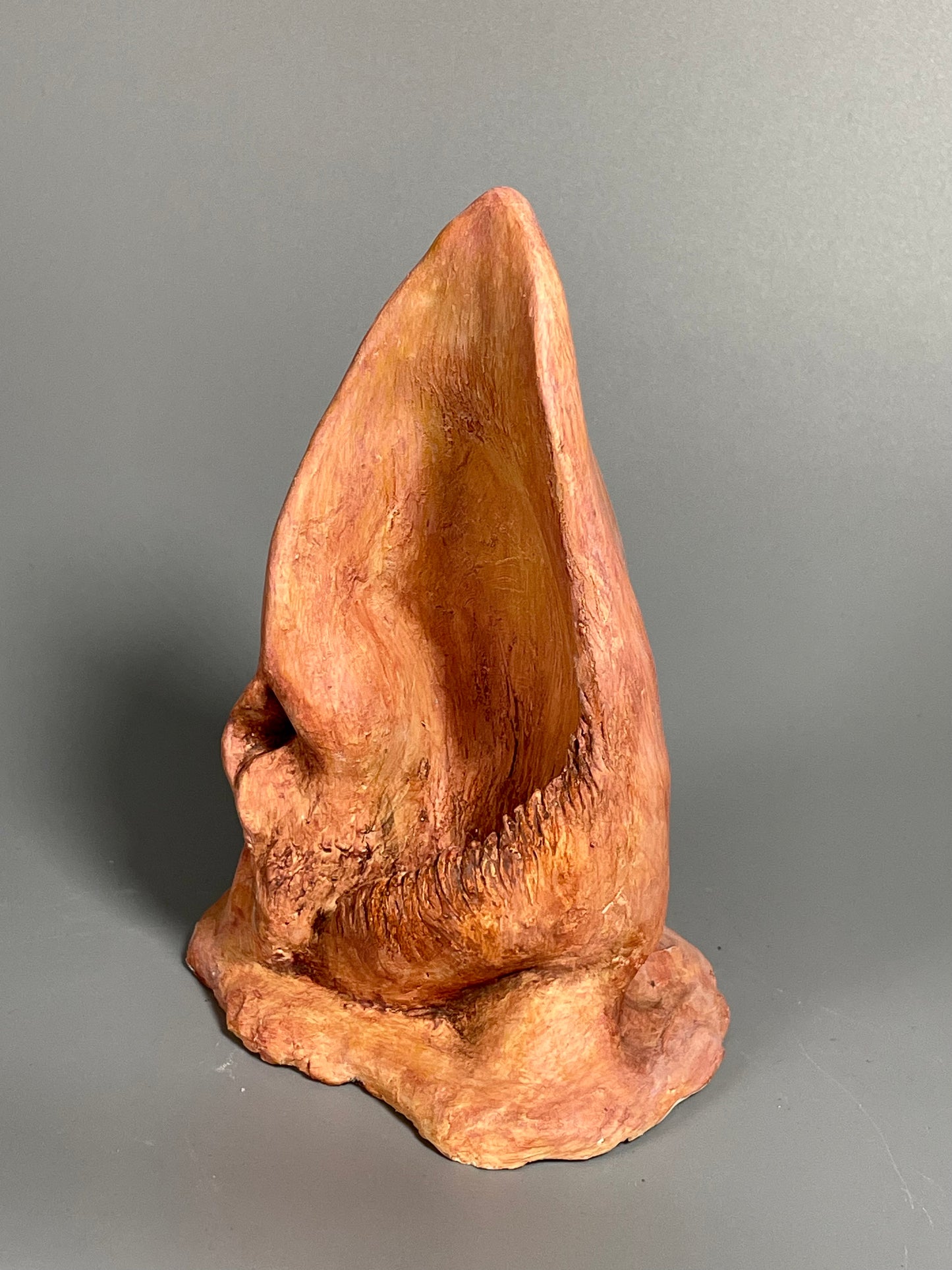 ECO (oreja)