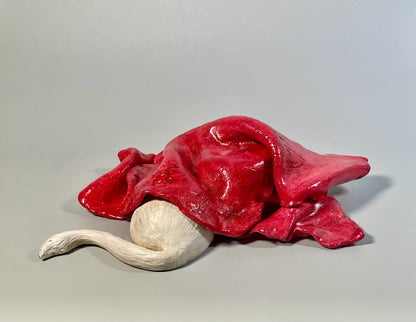 LA OTRA CAPERUCITA (manta roja)