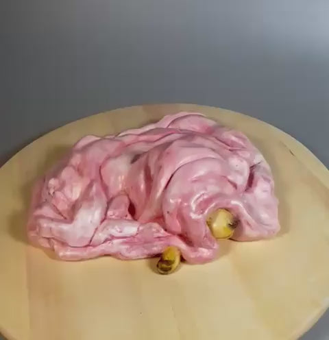 Invierno - Video presentacion